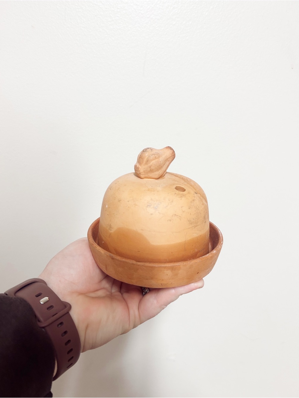 Terracotta Garlic Keeper